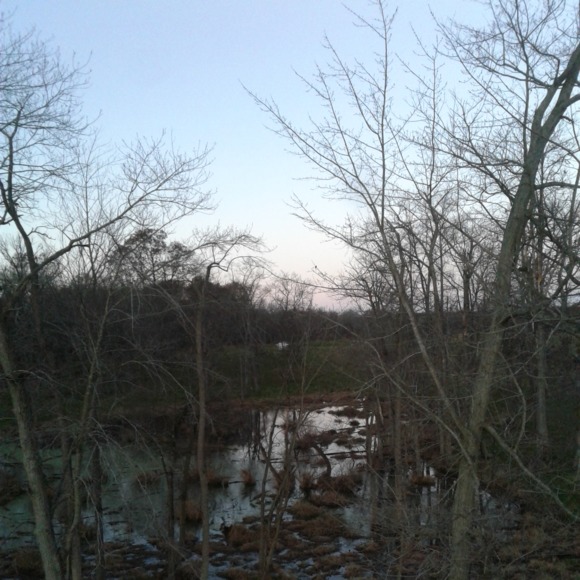 sakellerwatwood